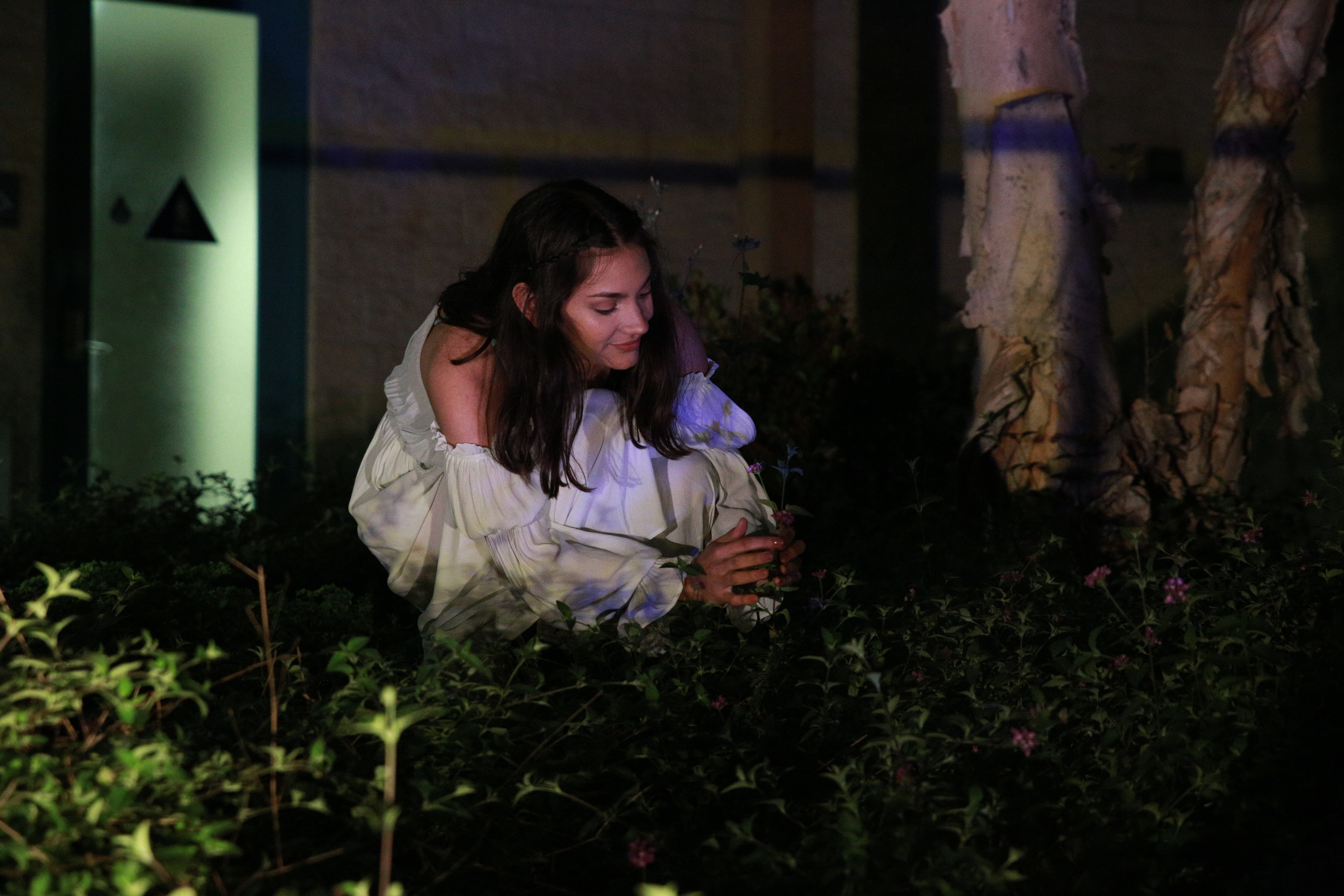 Romeo and Juliet UCI2019